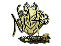NiKo (Gold) | Antwerp 2022