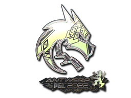 Team Spirit (Holo) | Antwerp 2022