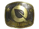 FlyQuest (Gold) | Austin 2025