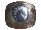 Team Liquid (Foil) | Austin 2025
