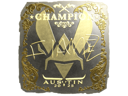 FlameZ (Gold, Champion) | Austin 2025