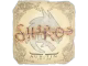 sh1ro | Austin 2025