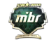 MIBR (Gold) | Berlin 2019