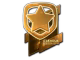 Gambit Esports (Gold) | Boston 2018