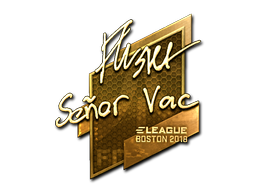 flusha (Gold) | Boston 2018