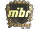 MIBR (Gold) | Budapest 2025