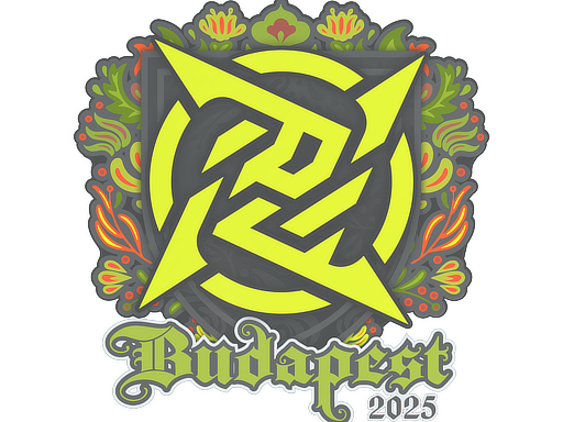 Ninjas in Pyjamas | Budapest 2025