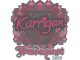 karrigan | Budapest 2025