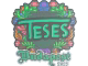 TeSeS (Embroidered) | Budapest 2025