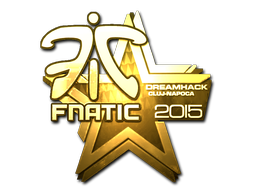 Fnatic (Gold) | Cluj-Napoca 2015