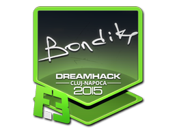 bondik | Cluj-Napoca 2015