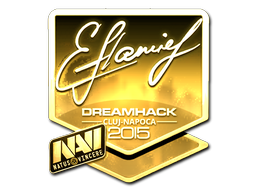 flamie (Gold) | Cluj-Napoca 2015