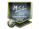 MSL (Foil) | Cluj-Napoca 2015