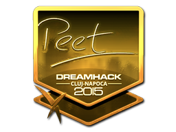 peet (Gold) | Cluj-Napoca 2015
