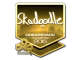 Skadoodle (Gold) | Cluj-Napoca 2015