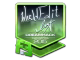 WorldEdit (Foil) | Cluj-Napoca 2015