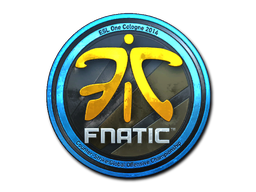 Fnatic (Foil) | Cologne 2014
