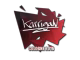 karrigan | Cologne 2016
