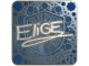 EliGE (Foil, Ranked) | Cologne 2026