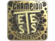 TeSeS (Gold, Ranked) | Cologne 2026