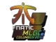 Fnatic (Holo) | MLG Columbus 2016