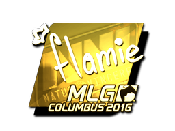flamie (Gold) | MLG Columbus 2016