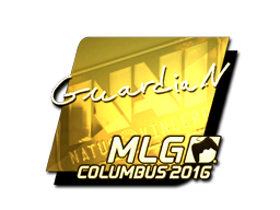 GuardiaN (Gold) | MLG Columbus 2016