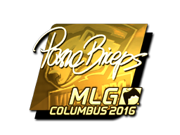 pashaBiceps (Gold) | MLG Columbus 2016