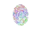 Evidence (Holo)