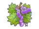 From The Vine (Holo)