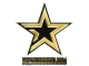 Complexity Gaming (Gold) | Copenhagen 2024