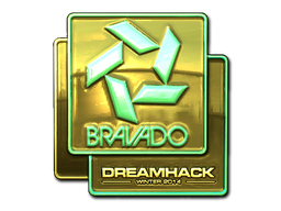 Bravado Gaming (Gold) | DreamHack 2014