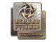 Ninjas in Pyjamas (Holo) | DreamHack 2014