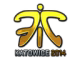 Fnatic (Foil) | Katowice 2014