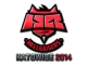 HellRaisers (Foil) | Katowice 2014
