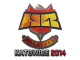 HellRaisers (Holo) | Katowice 2014