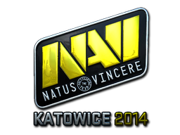 Natus Vincere (Foil) | Katowice 2014