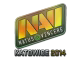 Natus Vincere (Holo) | Katowice 2014