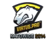 Virtus.Pro (Foil) | Katowice 2014