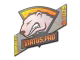 Virtus.pro (Holo) | Katowice 2015