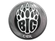 BIG | Katowice 2019