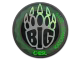 BIG (Holo) | Katowice 2019