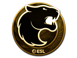 FURIA (Gold) | Katowice 2019