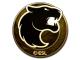 FURIA (Gold) | Katowice 2019
