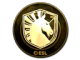 Team Liquid (Gold) | Katowice 2019