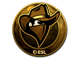 Renegades (Gold) | Katowice 2019