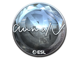 aumaN (Foil) | Katowice 2019