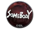 somebody (Foil) | Katowice 2019
