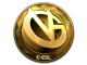 ViCi Gaming (Gold) | Katowice 2019