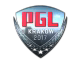 PGL (Foil) | Krakow 2017